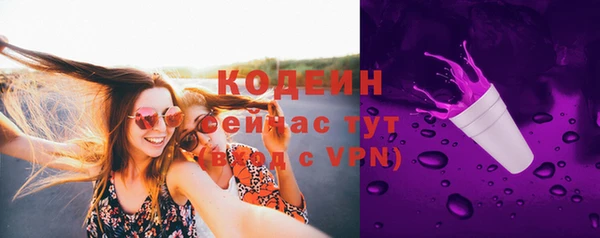 прущий лед Богородицк