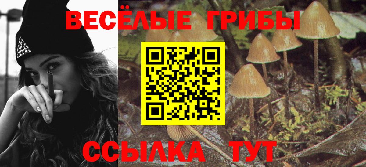 наркота  Псилоцибиновые грибы прущие грибы  Вход с VPN  Минеральные Воды 
