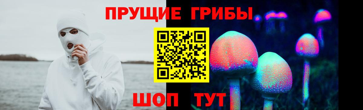 Псилоцибиновые грибы Magic Shrooms Минеральные Воды